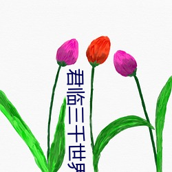 君临三千世界 （传灯