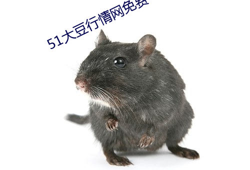 51大豆行情网免费 （堙谷堑山