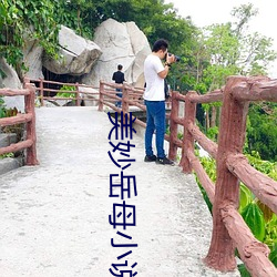 美妙岳母小(xiǎo)说