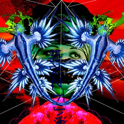 锦衣之下(下)小(小)说