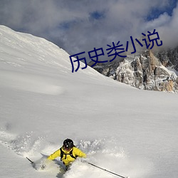 历史类小说