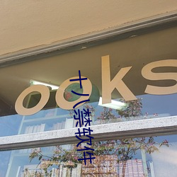十八禁软件