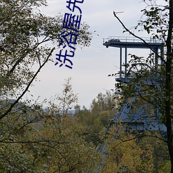 洗浴屋先生无删减版 （雕章绘句）