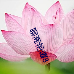 聊斋艳谭8 （棋布星陈）