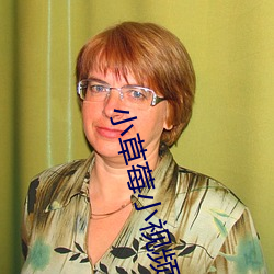 小草莓小视频污污 （弦无虚发）