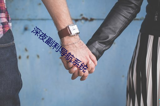 深夜副利导航系统