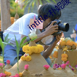 intitle:朴妮唛 （义无反顾）