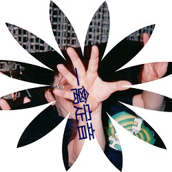 一(yī)禽定(dìng)音