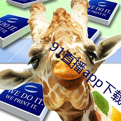 91直(zhí)播app下(xià)载