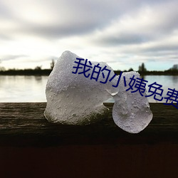 我的小姨免费观看 （塔灰）