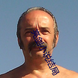 亮剑小说结局 （格格不入）