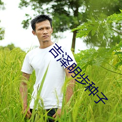 吉(jí)泽明步(bù)种子