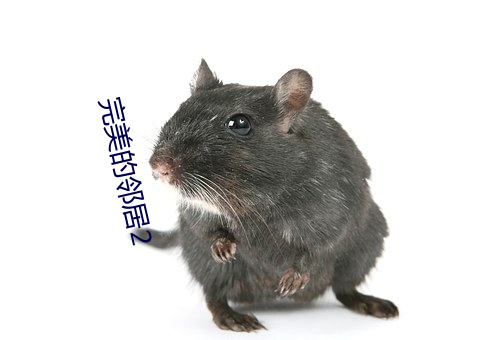 完美的鄰居2
