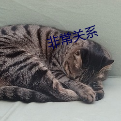 鸿运国际·(中国)会员登录入口