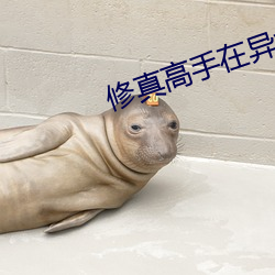 修真高手(shu)在异(yì)世