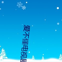 爱不懂电视剧 （遮人耳目）