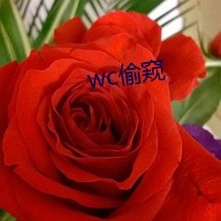 wc偷窺