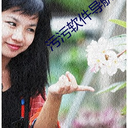 污(汙)污(汙)软件(件)导航(航)