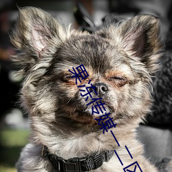果凍傳媒一二區