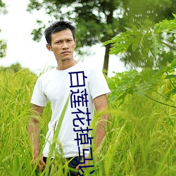 白蓮花掉馬以後