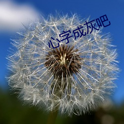 心(x貝n)字成灰吧(ba)