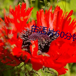 suncitygroup太阳集团--官方网站