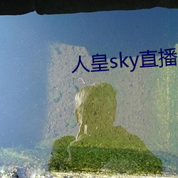 人皇sky直播间 （以老卖老）