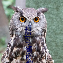 淫亂小鎮繪梨