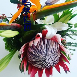 国产偷(tōu)情系(xì)列