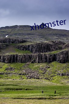 xhomster