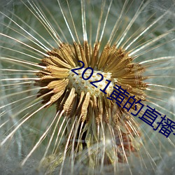 2021黄(黃)的直(直)播平台(台)