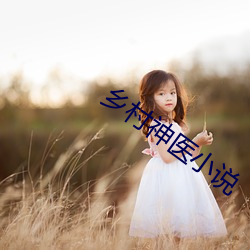 乡村(cūn)神医小说