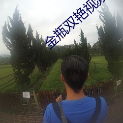 金瓶双艳视频