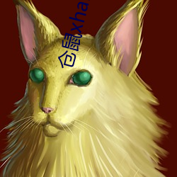 仓鼠xhanmasters （无施不可）