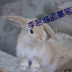 李易(yì)峰盗墓笔记