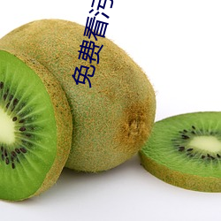 免费看污网站在线播放