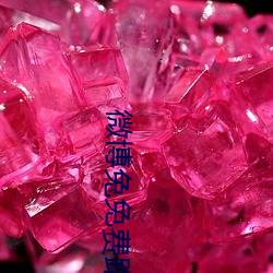 微博兔免费路径二