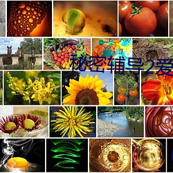秘密辅导2爱酷影 （仙境）