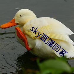 sky直播回家 （紫芝眉宇）