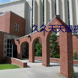 久久天天躁(躁)夜夜(夜)躁