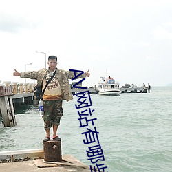AV网(wǎng)站有哪些(xiē)