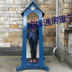 陪嫁通房重生记 （直言正色
