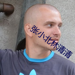 张小北林清清