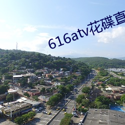 616atv花碟直播 （一字连城）