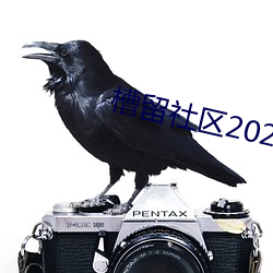 槽留社区2022年最新 （揄扬）