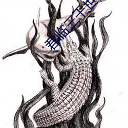 君臨三千世界