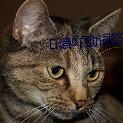 谙吖劭詞悠?