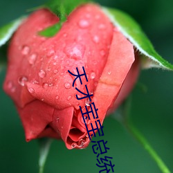 天才宝宝总统爹地伤不起 （杀身成仁）