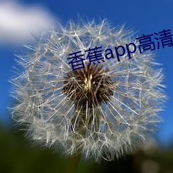 香蕉app高清