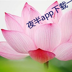夜半app下载一对一